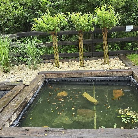 Vip Village Las Woda Rower - Podgrzewany Basen, Balia, Sauna Miedzierza Экстерьер фото